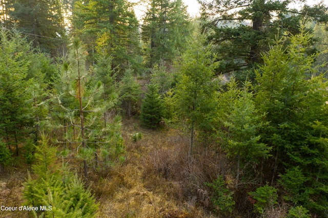 TBD E Sunnyside Rd, Coeur Dalene, ID 83814