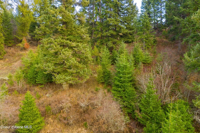 TBD E Sunnyside Rd, Coeur Dalene, ID 83814