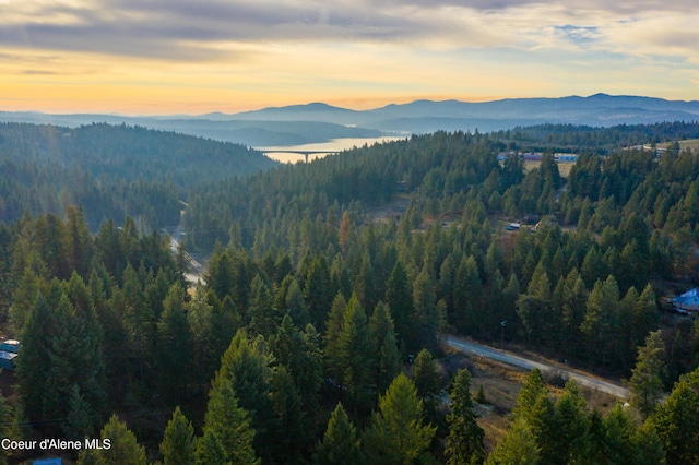 TBD E Sunnyside Rd, Coeur Dalene, ID 83814