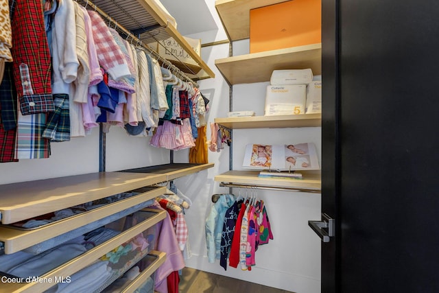 175 N Holidays Hills Dr, Liberty Lake, WA 99019 - spacious closet with wood finished floors