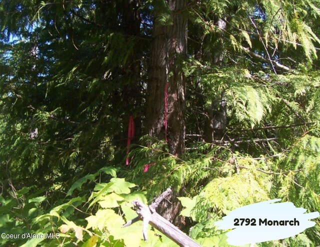 2792 Monarch Rd, Saint Maries, ID 83861 - photo 7