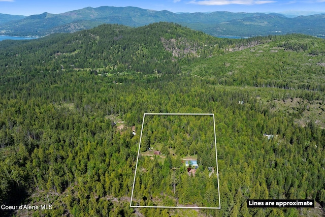 910 Otts Rd, Sagle, ID 83860 - aerial view of property's location with a forest, a mountainous background, and property parcel outlined