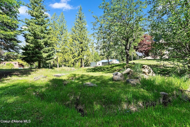 910 Otts Rd, Sagle, ID 83860 - view of yard
