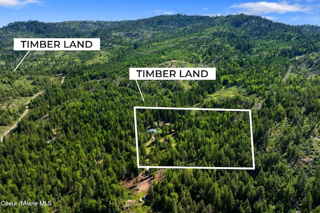 910 Otts Rd, Sagle, ID 83860 - view of property location with a forest, a mountain backdrop, and property parcel outlined