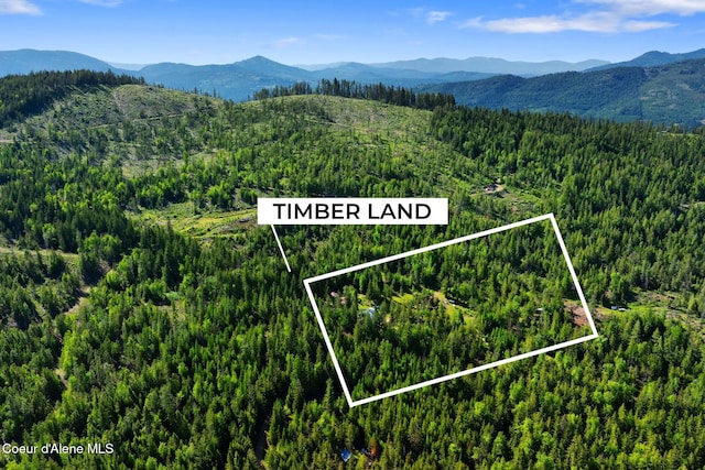 910 Otts Rd, Sagle, ID 83860 - mountain view with a forest