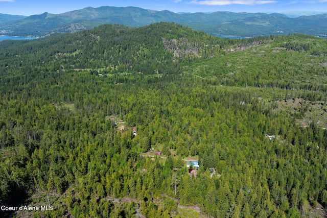 910 Otts Rd, Sagle, ID 83860 - aerial view of property's location with a forest and a mountainous background