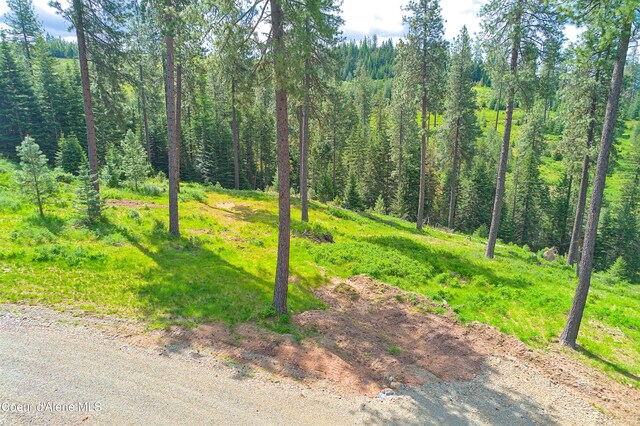 2304 S Blue Creek Rd, Coeur Dalene, ID 83814 - photo 24
