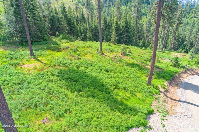 2304 S Blue Creek Rd, Coeur Dalene, ID 83814 - photo 16