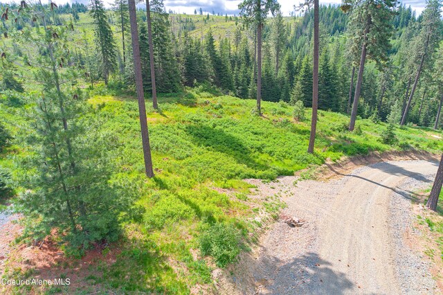 2304 S Blue Creek Rd, Coeur Dalene, ID 83814 - photo 17