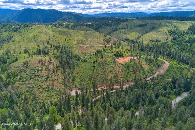 2304 S Blue Creek Rd, Coeur Dalene, ID 83814 - photo 28