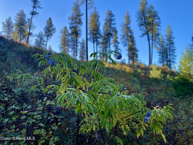 2304 S Blue Creek Rd, Coeur Dalene, ID 83814 - photo 21