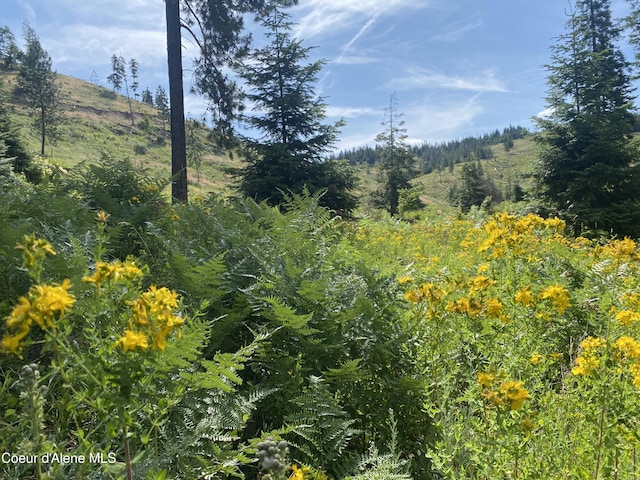 2304 S Blue Creek Rd, Coeur Dalene, ID 83814 - photo 15