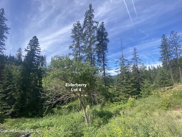 2304 S Blue Creek Rd, Coeur Dalene, ID 83814 - photo 25