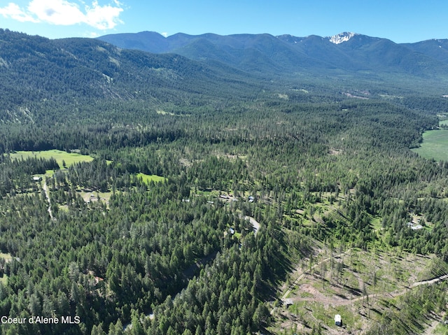 1401 Katka Rd, Bonners Ferry, ID 83805 - photo 11