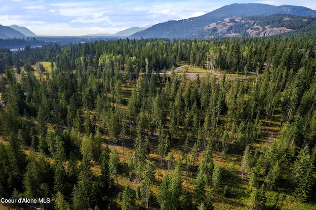 NNA Highway 200 Lot 2, Clark Fork, ID 83811 - photo 15