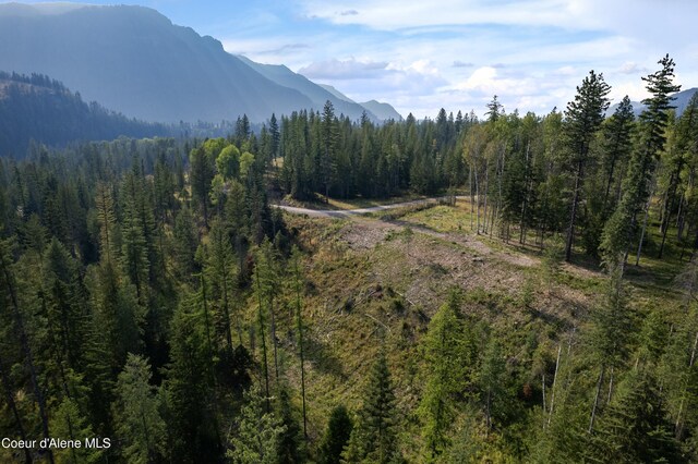 NNA Highway 200 Lot 2, Clark Fork, ID 83811 - photo 16