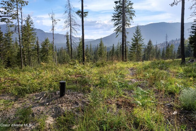 NNA Highway 200 Lot 2, Clark Fork, ID 83811 - photo 18