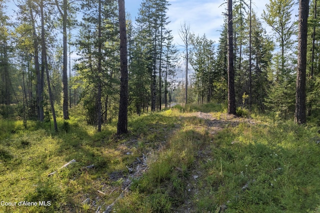 NNA Highway 200 Lot 2, Clark Fork, ID 83811 - photo 19
