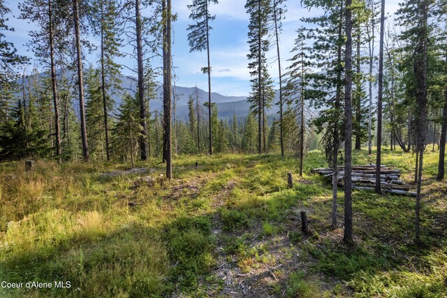 NNA Highway 200 Lot 2, Clark Fork, ID 83811 - photo 24