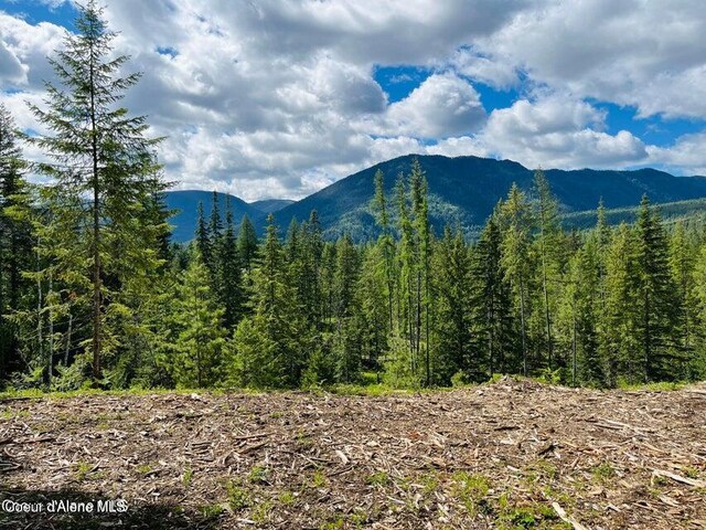 NNA Highway 200 Lot 2, Clark Fork, ID 83811 - photo 25