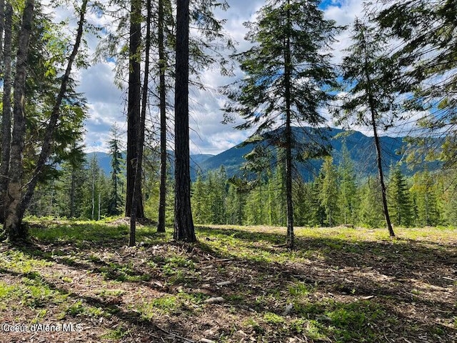 NNA Highway 200 Lot 2, Clark Fork, ID 83811 - photo 26