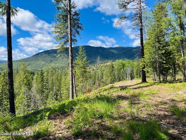 NNA Highway 200 Lot 2, Clark Fork, ID 83811 - photo 28