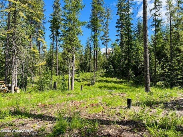 NNA Highway 200 Lot 2, Clark Fork, ID 83811 - photo 29