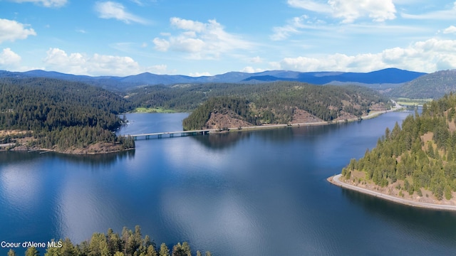 NKA E Bridger Trail, Harrison, ID 83833