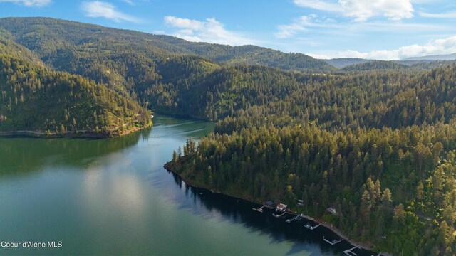 NKA E Bridger Trail, Harrison, ID 83833