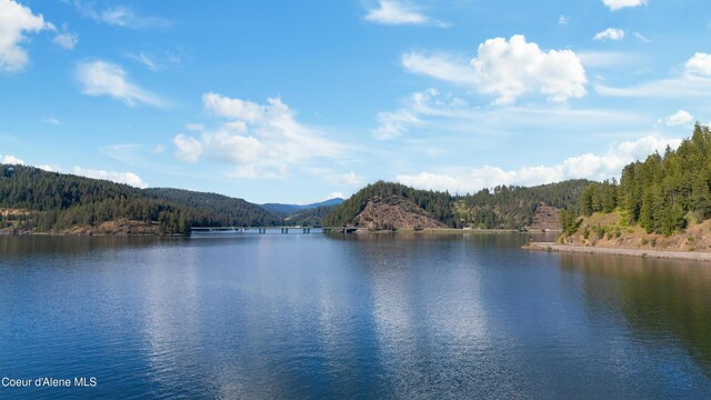 NKA E Bridger Trail, Harrison, ID 83833