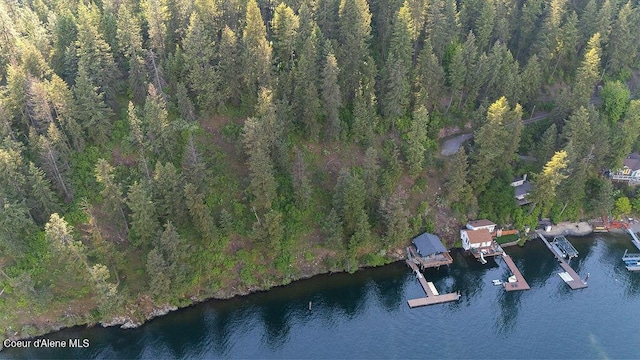 NKA E Bridger Trail, Harrison, ID 83833