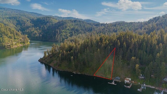 NKA E Bridger Trail, Harrison, ID 83833