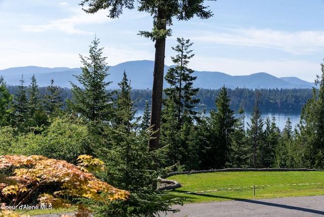 9298 N Clarkview Pl, Hayden, ID 83835 - view of mountain backdrop with a forest