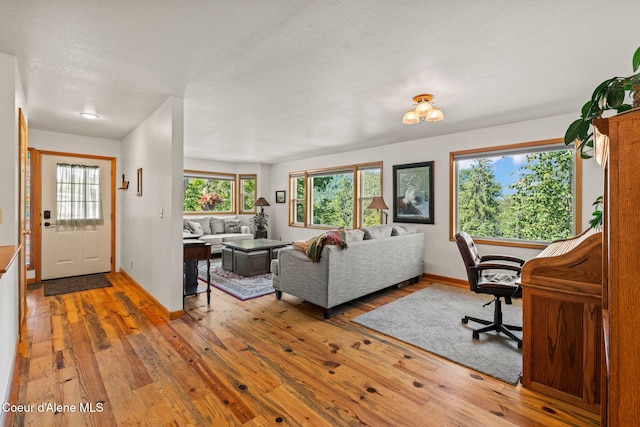 723 Trout Crk Rd, Sandpoint, ID 83864 - living room featuring wood-type flooring and baseboards