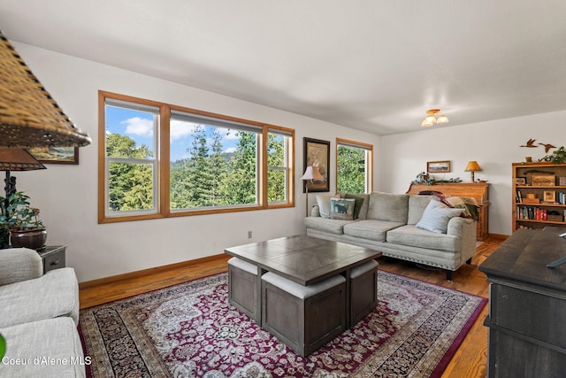 723 Trout Crk Rd, Sandpoint, ID 83864 - living area featuring wood finished floors and baseboards