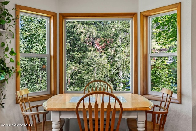723 Trout Crk Rd, Sandpoint, ID 83864 - dining area featuring healthy amount of natural light