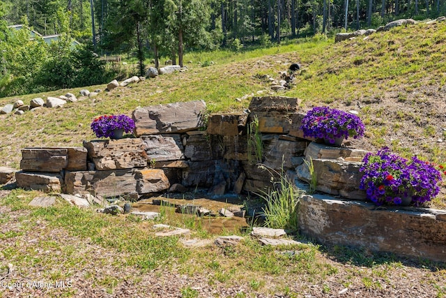 723 Trout Crk Rd, Sandpoint, ID 83864 - view of yard