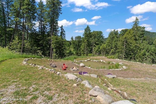 723 Trout Crk Rd, Sandpoint, ID 83864 - view of yard featuring a view of trees