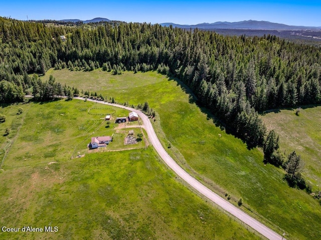 25024 N Derting Rd, Hayden, ID 83835 - bird's eye view of a forest and a mountain backdrop