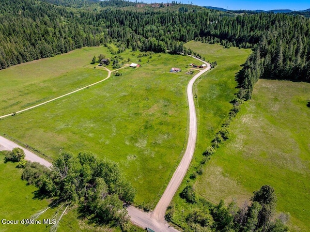 25024 N Derting Rd, Hayden, ID 83835 - drone / aerial view of a forest