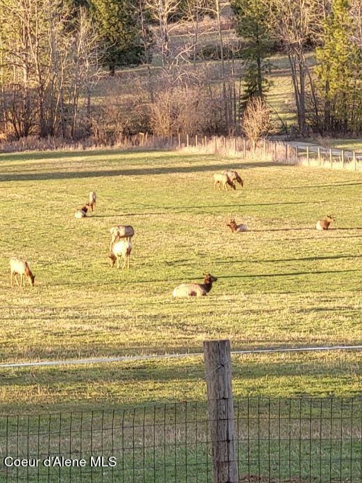 25024 N Derting Rd, Hayden, ID 83835 - view of green lawn