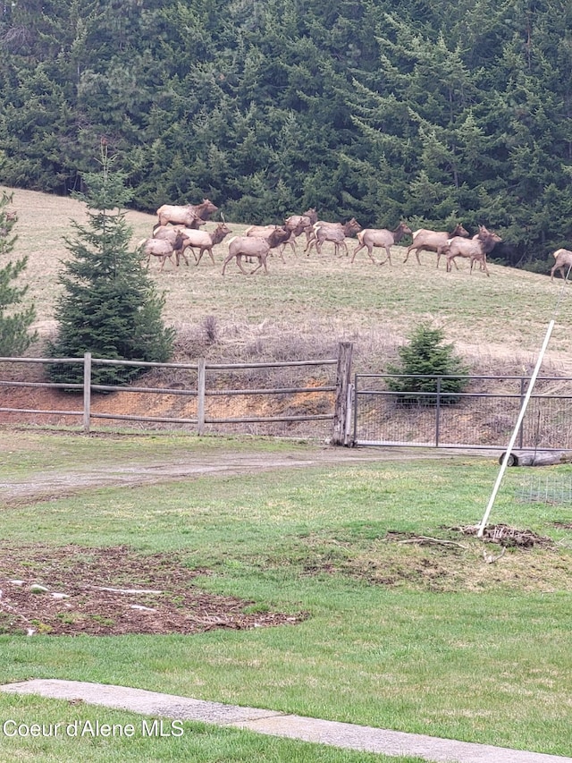 25024 N Derting Rd, Hayden, ID 83835 - view of yard with a rural view and a wooded view