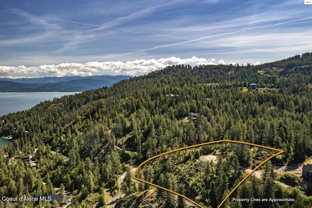 Lot7 Cheval Noir, Sagle, ID 83860