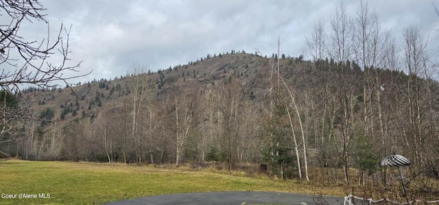 41050 Riverview Dr, Cataldo, ID 83810 - photo 2