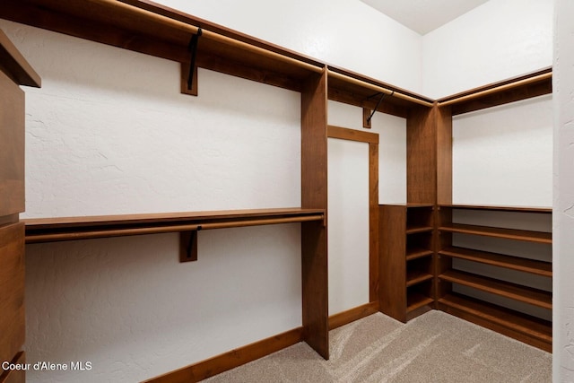 409 N Idaho Club Dr, Sandpoint, ID 83864 - walk in closet featuring carpet