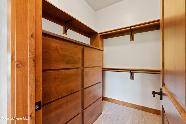 409 N Idaho Club Dr, Sandpoint, ID 83864 - view of walk in closet