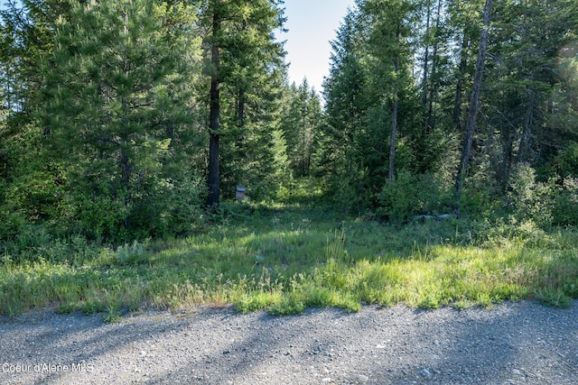 NKALOT3 Flat Iron, Spirit Lake, ID 83869