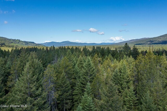 NKALOT3 Flat Iron, Spirit Lake, ID 83869