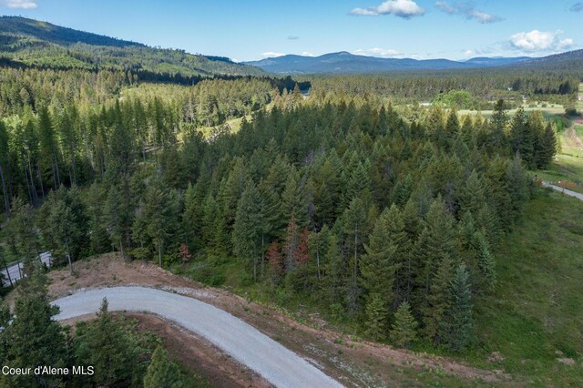 NKALOT3 Flat Iron, Spirit Lake, ID 83869