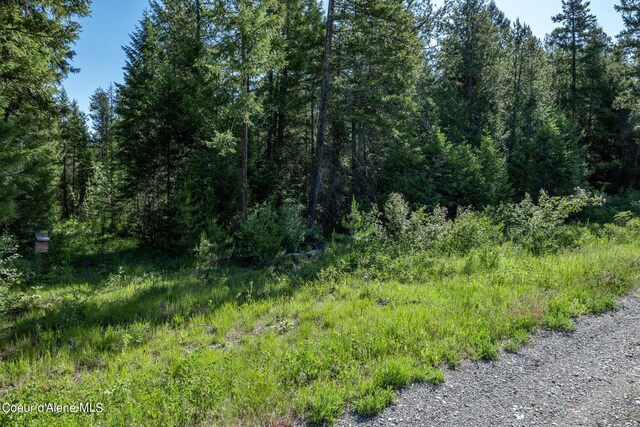 NKALOT3 Flat Iron, Spirit Lake, ID 83869